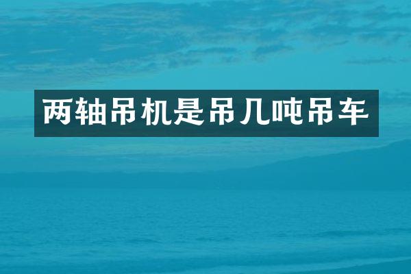两轴吊机是吊几吨吊车