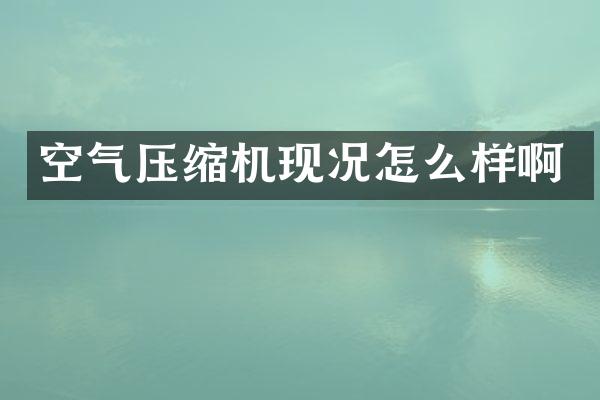 空氣壓縮機(jī)現(xiàn)況怎么樣啊