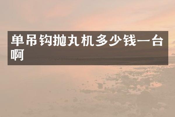 單吊鉤拋丸機多少錢一臺啊