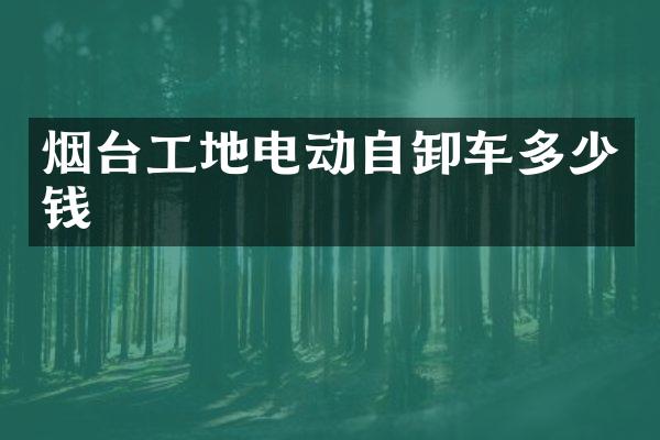 煙臺工地電動自卸車多少錢