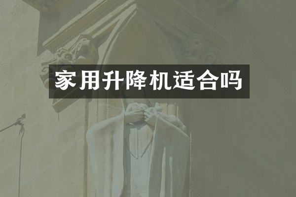 家用升降機(jī)適合嗎