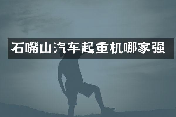 石嘴山汽車起重機(jī)哪家強(qiáng)