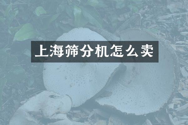上海篩分機(jī)怎么賣