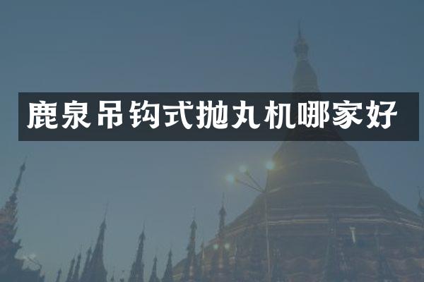 鹿泉吊鉤式拋丸機哪家好