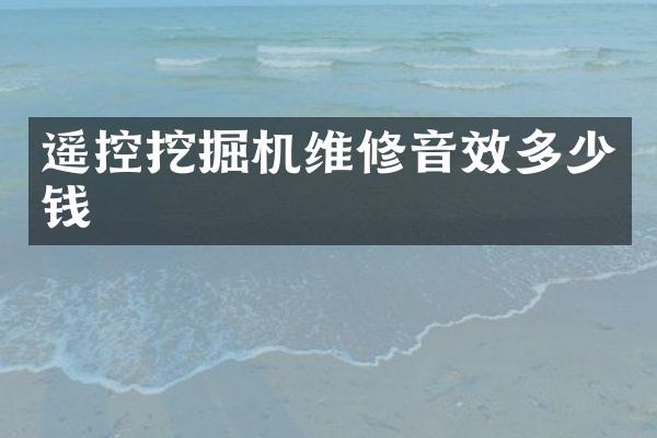 遙控挖掘機維修音效多少錢