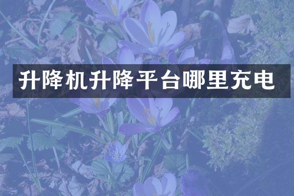 升降機升降平臺哪里充電