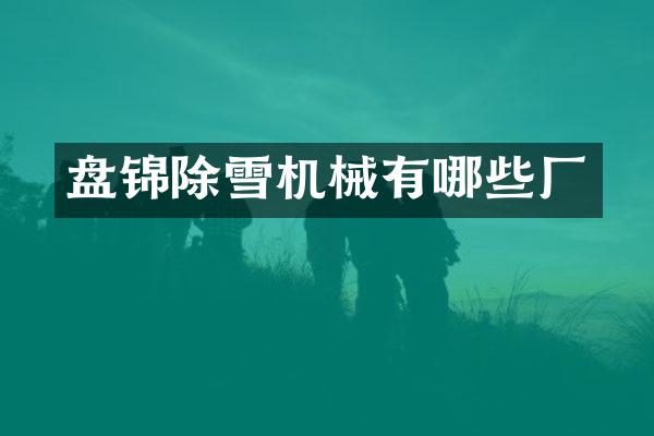 盤錦除雪機(jī)械有哪些廠