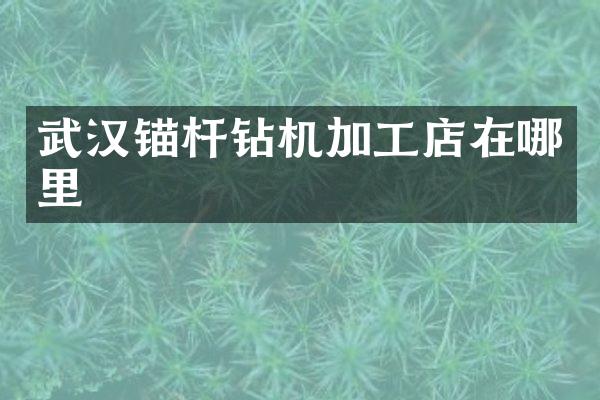 武漢錨桿鉆機加工店在哪里