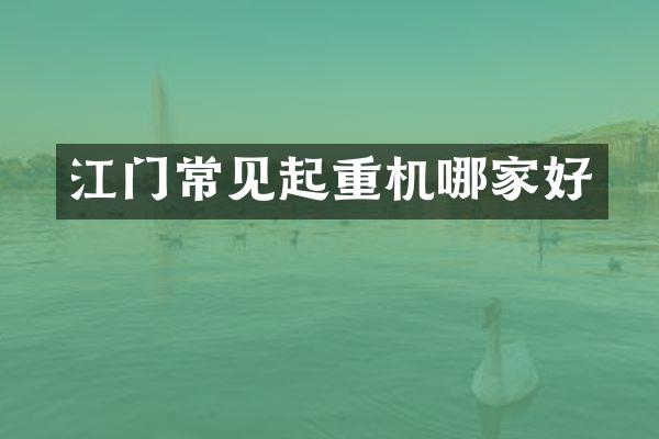 江門常見起重機(jī)哪家好