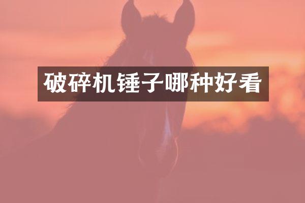 破碎機(jī)錘子哪種好看