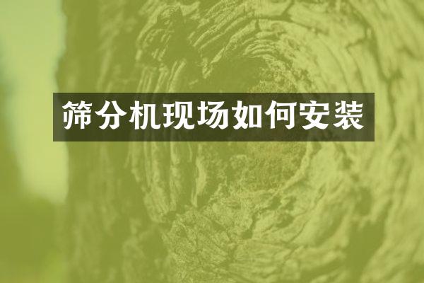 篩分機(jī)現(xiàn)場(chǎng)如何安裝