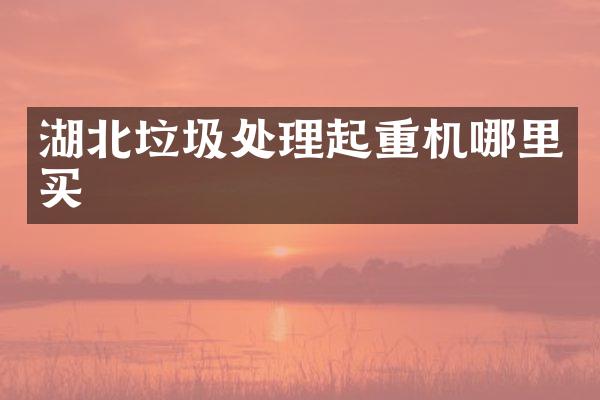 湖北垃圾處理起重機(jī)哪里買