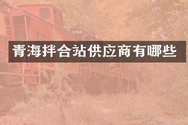 青海拌合站供應(yīng)商有哪些