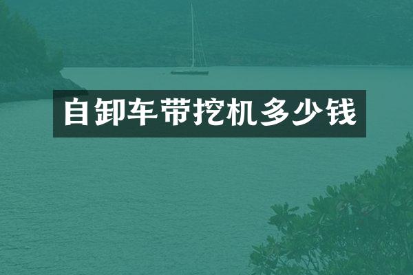 自卸车带挖机多少钱