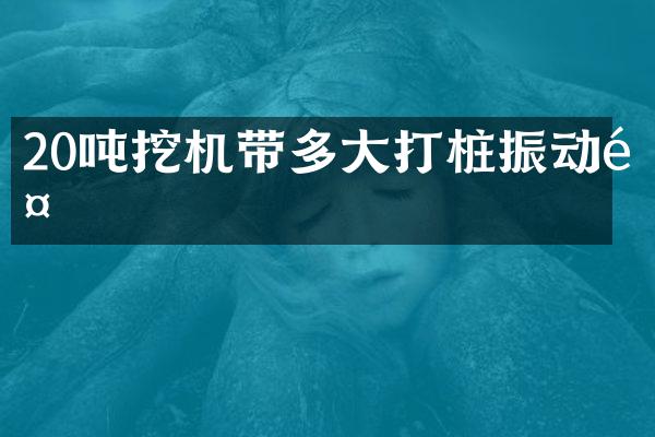 20噸挖機帶多大打樁振動錘