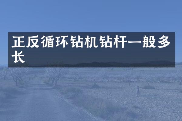 正反循環(huán)鉆機(jī)鉆桿一般多長(zhǎng)