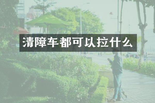 清障車都可以拉什么