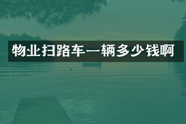 物業(yè)掃路車一輛多少錢啊