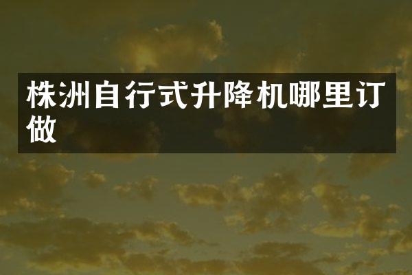 株洲自行式升降機哪里訂做
