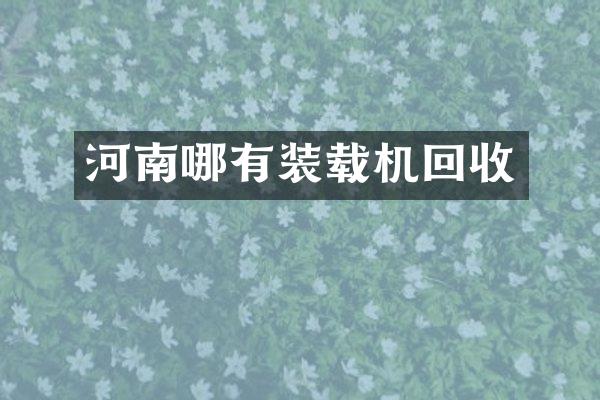 河南哪有裝載機(jī)回收