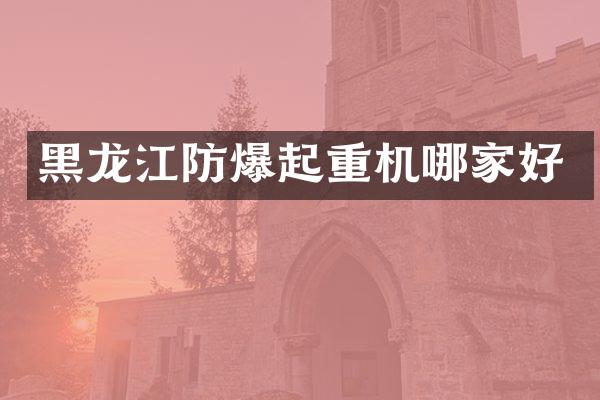 黑龍江防爆起重機(jī)哪家好