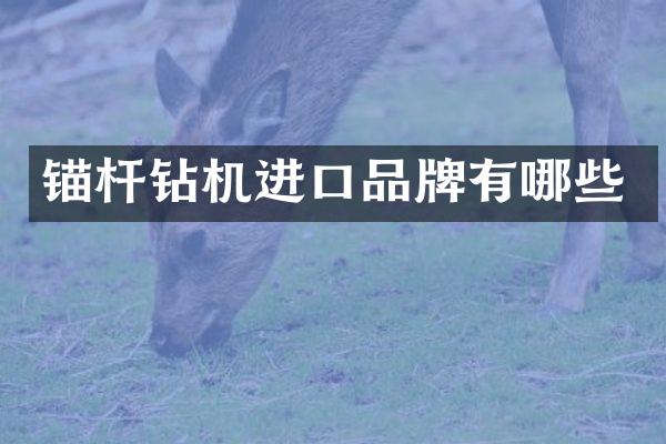 錨桿鉆機進口品牌有哪些
