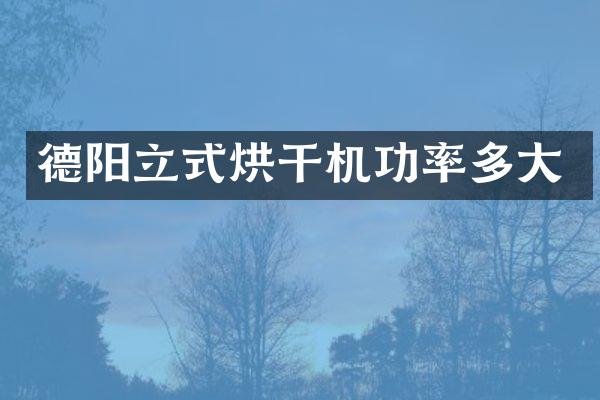 德陽立式烘干機(jī)功率多大