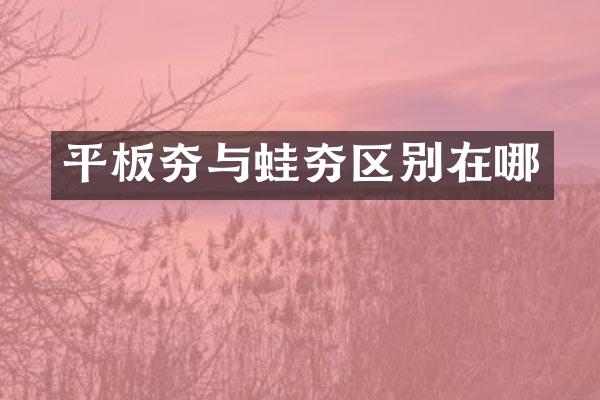 平板夯與蛙夯區(qū)別在哪
