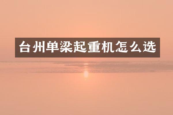 台州单梁起重机怎么选