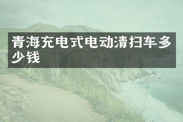 青海充電式電動(dòng)清掃車多少錢