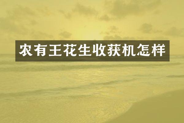 農(nóng)有王花生收獲機(jī)怎樣