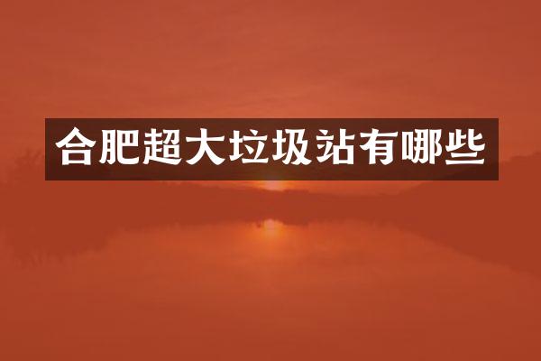 合肥超大垃圾站有哪些