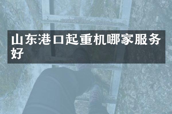 山東港口起重機(jī)哪家服務(wù)好
