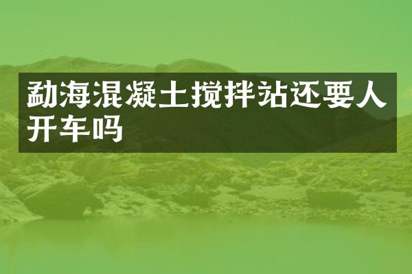 勐?；炷翑嚢枵具€要人開車嗎
