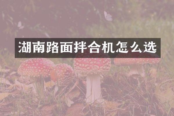 湖南路面拌合機(jī)怎么選