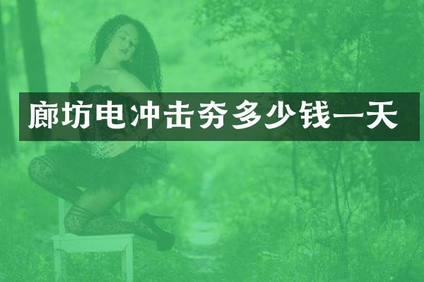 廊坊電沖擊夯多少錢一天