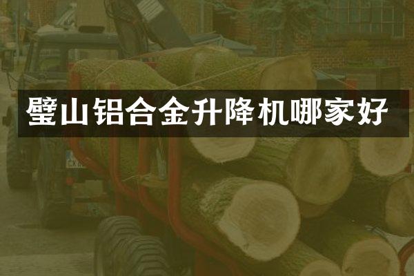 璧山鋁合金升降機(jī)哪家好