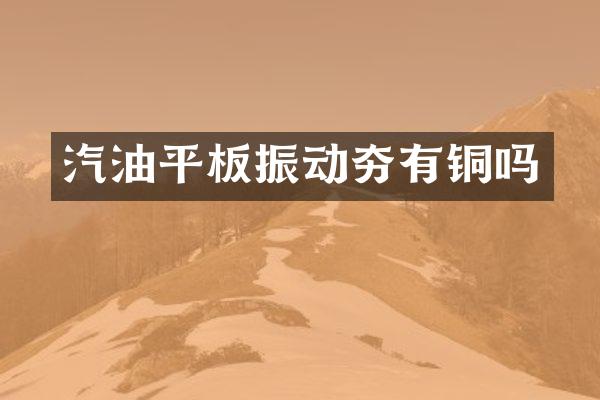 汽油平板振動(dòng)夯有銅嗎