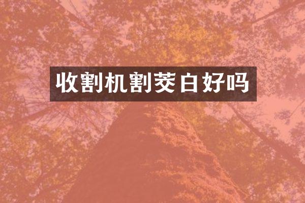 收割機(jī)割茭白好嗎