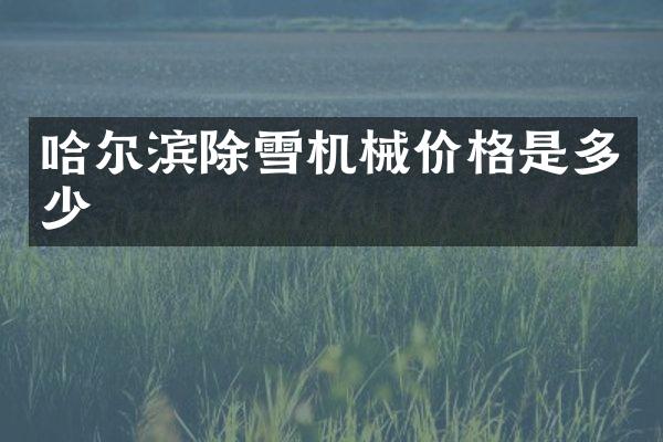 哈爾濱除雪機(jī)械價(jià)格是多少