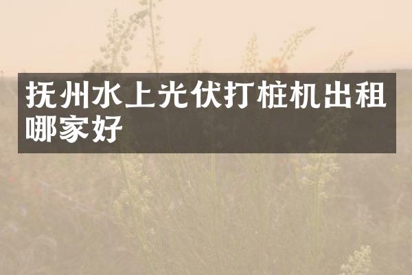 撫州水上光伏打樁機(jī)出租哪家好
