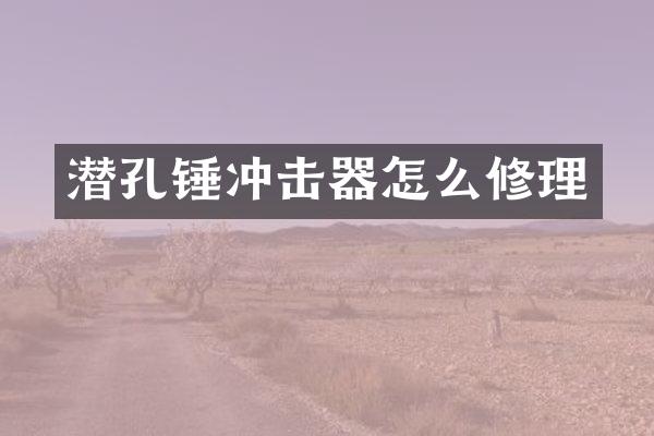 潛孔錘沖擊器怎么修理