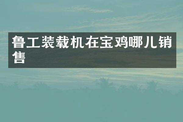 鲁工装载机在宝鸡哪儿销售