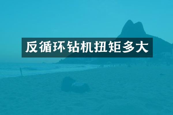反循環(huán)鉆機(jī)扭矩多大