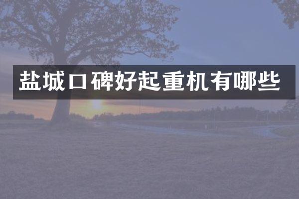 盐城口碑好起重机有哪些