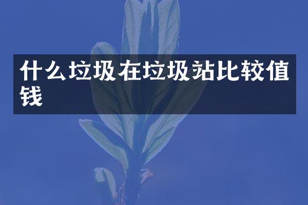 什么垃圾在垃圾站比較值錢(qián)