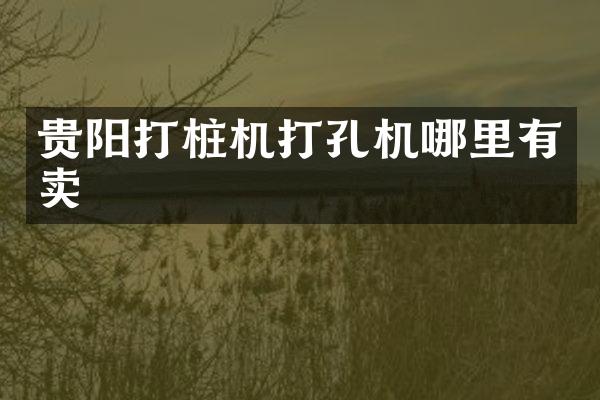 貴陽(yáng)打樁機(jī)打孔機(jī)哪里有賣(mài)