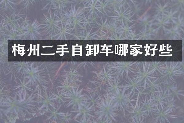 梅州二手自卸車哪家好些