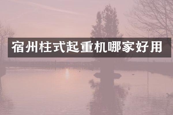 宿州柱式起重機哪家好用