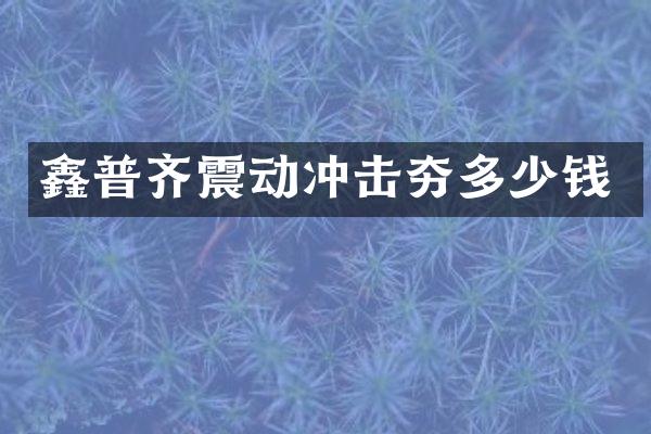 鑫普齊震動沖擊夯多少錢